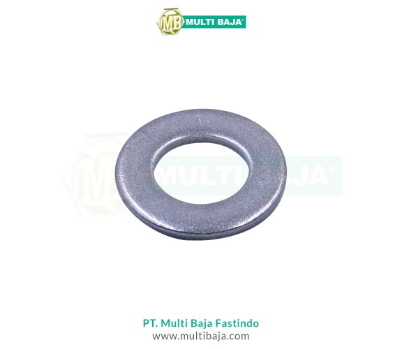SUS 316 Ring Plat (Flat Washer) Metric